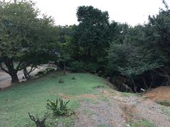 -岚山猴子公园