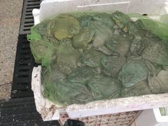 -恒达综合农贸市场(黄山路店)