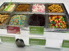 -Salud撒露欧洲冻酸奶(蓝色港湾店)