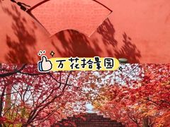 -老鼎万春卤菜(五代传承创始老店)