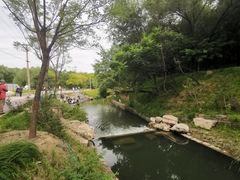 -北坞公园