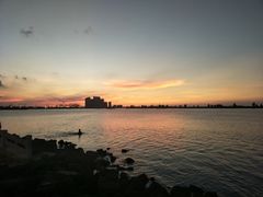 -万绿园