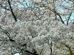 -杭州少年儿童公园