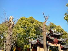 -西园戒幢律寺