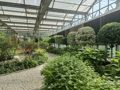 -南宫五洲植物乐园