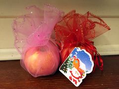 -圣爵菲斯大酒店(长沙世界之窗店)