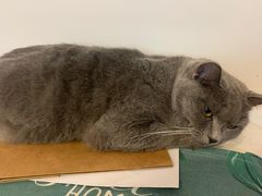 -觅时光手作·香薰·拼豆豆·陶艺DIY