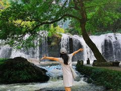 -刘伯温故里景区百丈漈
