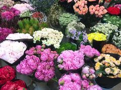 -双季花艺园艺市场(浦东店)