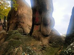 -吉林市朱雀山国家森林公园