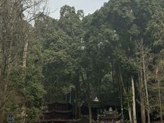 -青城山