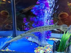 -欧亚达商业广场(红桥店)