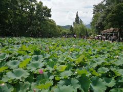 -韶山毛泽东同志故居