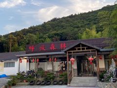 -呼吸森林·生态农庄农家乐私房菜