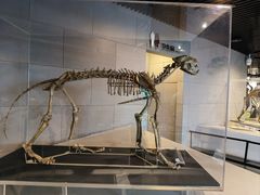 -北京周口店北京人遗址博物馆