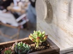 -Beans Solo豆号咖啡(百家湖花园店)