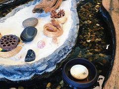 -菩提树下茶咖鼓捣