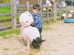 -田园东方蜜桃村的田野营地