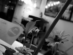 -COFFELIZ COFFEE