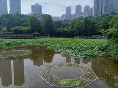 -龙头寺公园