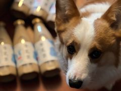 -盒马鲜生(馥邦国际店)