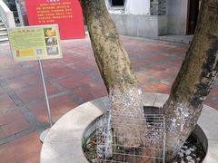 -广州神农草堂中医药博物馆