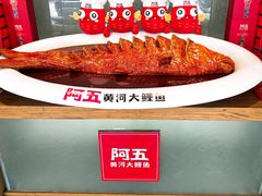 -阿五黄河大鲤鱼(英协路店)
