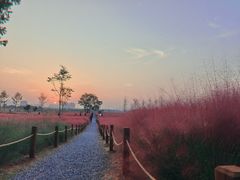 -汉长安城未央宫国家考古遗址公园