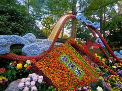 -杭州植物园