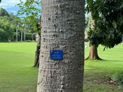 -中国科学院西双版纳热带植物园