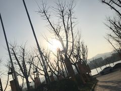 -深业半汤御泉庄温泉