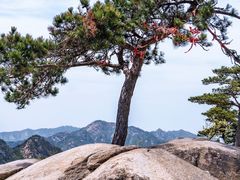 -沂蒙山旅游区云蒙景区(蒙山国家森林公园)