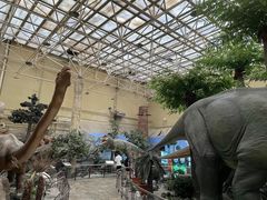 -国家自然博物馆