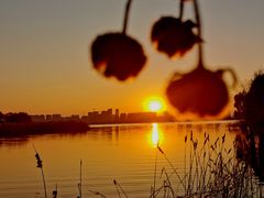 -艾溪湖湿地公园