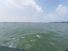-鄱阳湖国家湿地公园