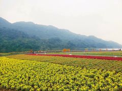 -广州市石门国家森林公园