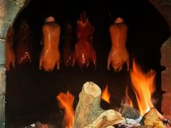 -普天和酒楼·新津菜·烤鸭(天津之眼店)