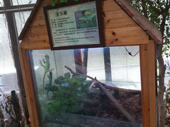 android_upload_pic-上海大自然野生昆虫馆