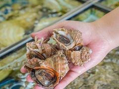 -南燕湾渔家码头