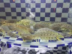 -古韵轩·江浙融合菜(梁溪店)