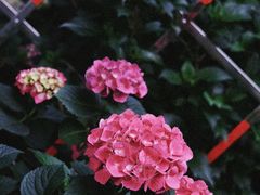 -常州古运河南大街文化旅游区-人民公园