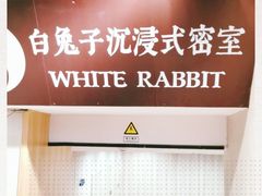 -白兔子密室(长寿路店)