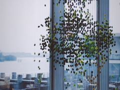 -龙美术馆(西岸馆)