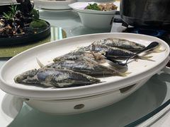 -金海岸食府(海西石材城店)
