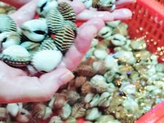 -巽寮印象美食部落餐厅·海鲜·地方特色菜(惠州体验店)