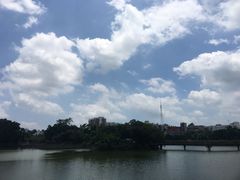 -OLD TREE老树咖啡·西餐厅(台山人工湖店)