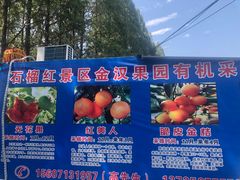 -武汉世外桃源农庄