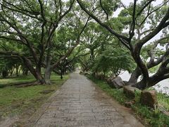 -江心屿景区