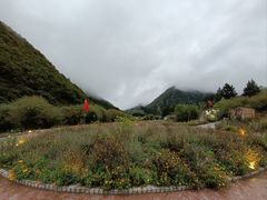 -九寨沟爱情海景区