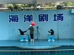 -无锡动物园·太湖欢乐园